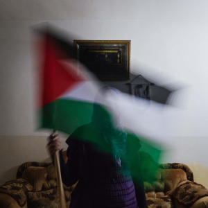 10 January 2011 – A woman who works for the Palestinian Prisoners Club, a non-governmental organization that supports Palestinian political prisoners in Israeli jails and their families, waves the Palestinian flag, in Jericho, Palestine.