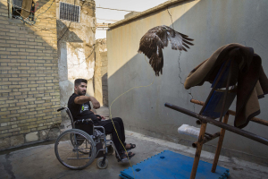 11 September 2020 – Saeed allows his brother’s prey bird to fly, at home in Gachsaran, Iran. He says he wants to untie it and set it free.