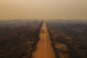 5 September 2020 – Burnt landscape lines the Transpantaneira, a road crossing the Pantanal, near Porto Jofre. The road is known for its wildlife-watching opportunities.