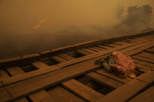 13 September 2020 – A volunteer looks for fire spots under a wooden bridge on the Transpantaneira. The road, which has 120 bridges, most of them made of wood, is the only access to the community of Porto Jofre and to several farms in the Mato Grosso region.