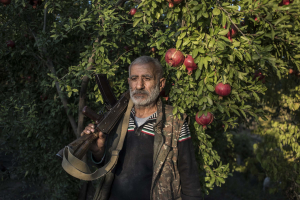 14 November 2020 – Anushavan (62) stands in a pomegranate orchard in the yard of his home, in the village of Ukhtasar, Nagorno-Karabakh. He holds a Kalashnikov assault rifle kept from the First Nagorno-Karabakh War.