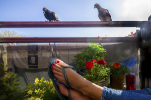 5 April 2020 – Maaike, the photographer’s wife, sits on the apartment balcony—on the chair under which the pigeons nested the year before, in Vlaardingen, the Netherlands.